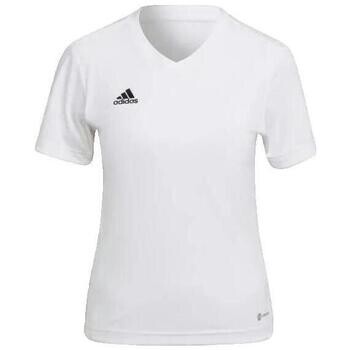 adidas  T-shirt  Entrada 22 blanc femme  Bílá
