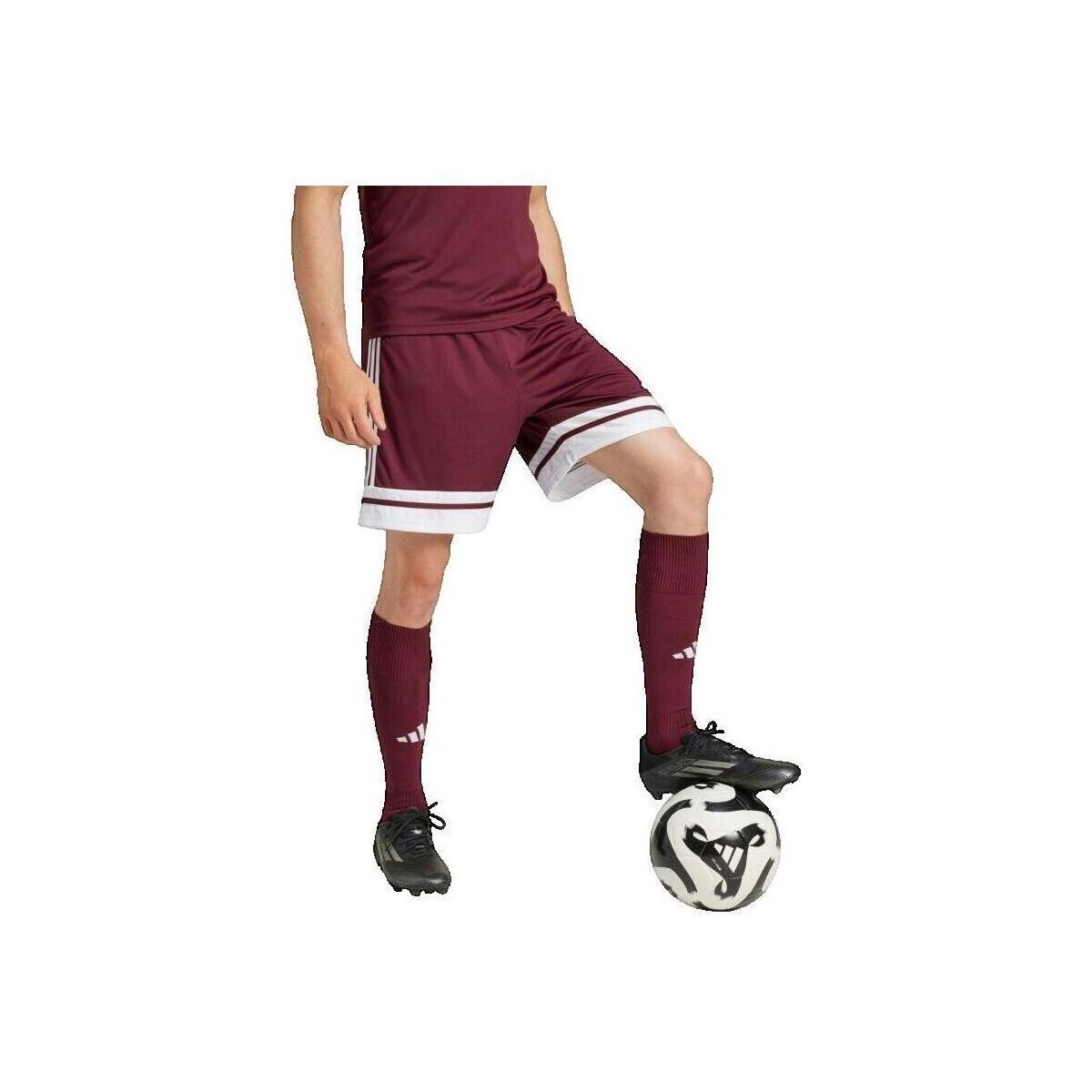 adidas  Short  Squadra 25 Bordeaux  Bordó