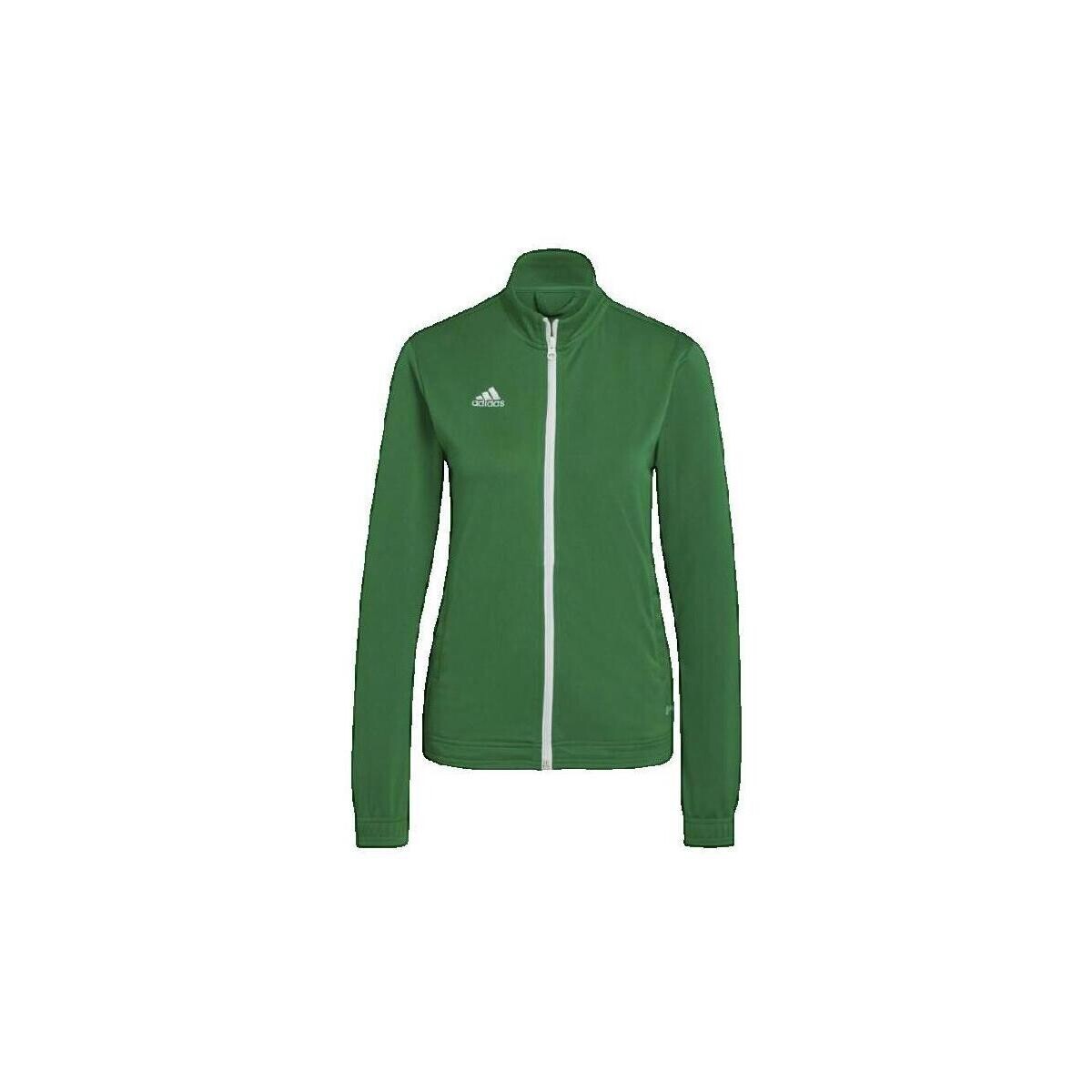adidas  Veste de survêtement  Entrada 22  Zelená