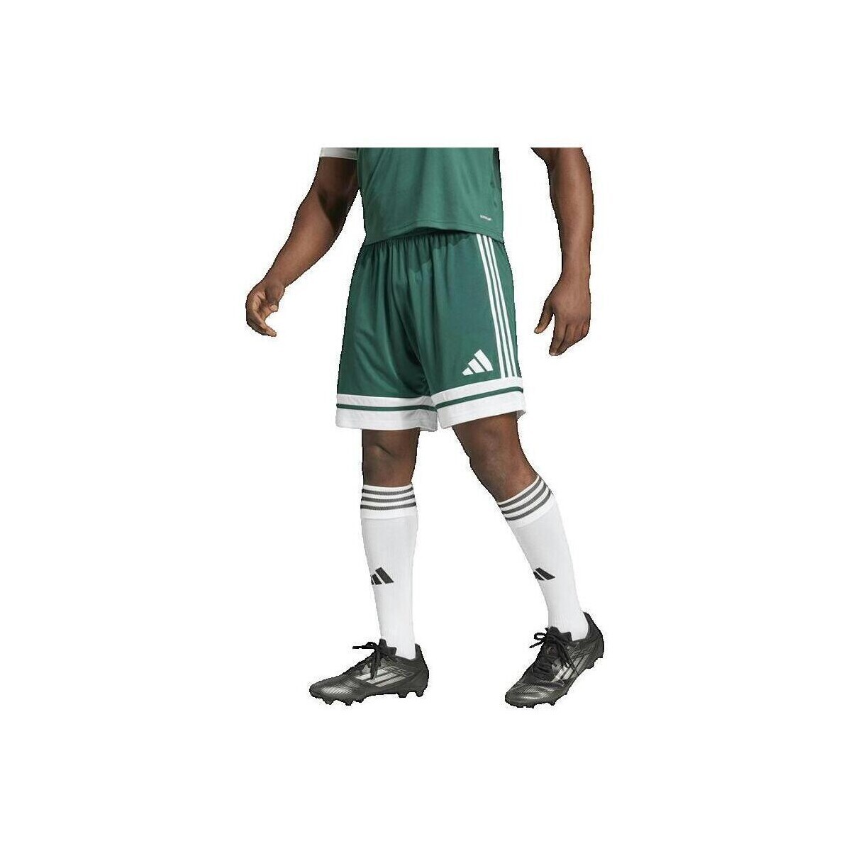 adidas  Short  Squadra 25 vert  Zelená