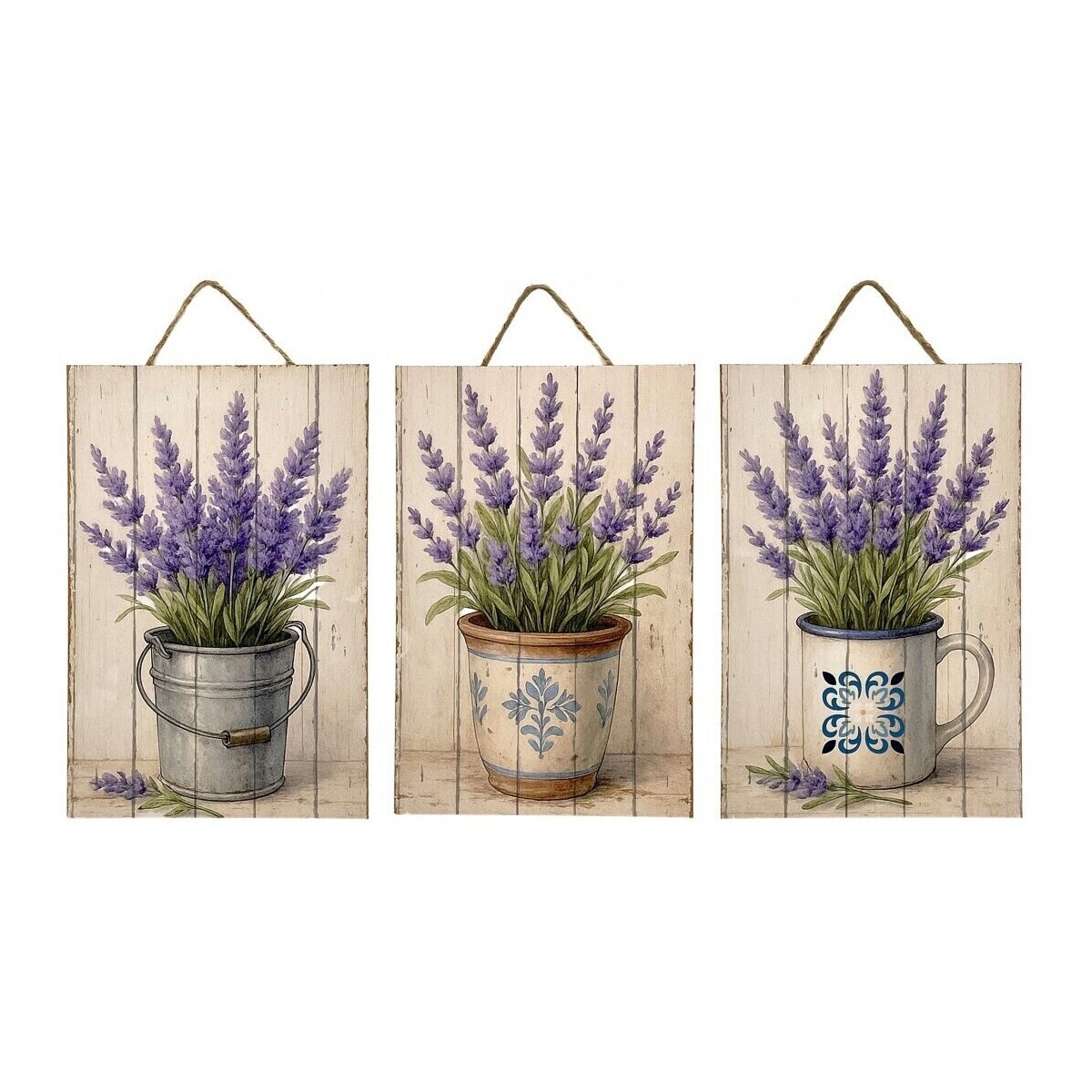 Signes Grimalt  3U Ornament  Fialová