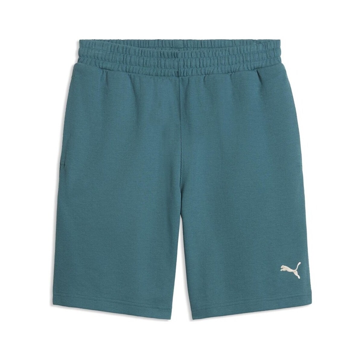 Puma  69202141  Modrá