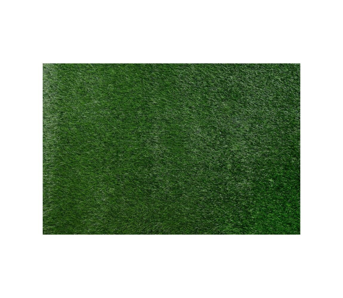 Multidecor Umělý travní koberec ALLGREEN 100x200 cm 30 mm zelená 420292