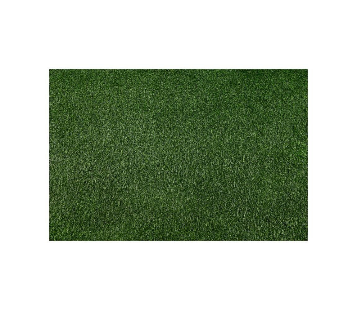 Multidecor Umělý travní koberec BELLIN 100x200 cm 18 mm zelená 420284