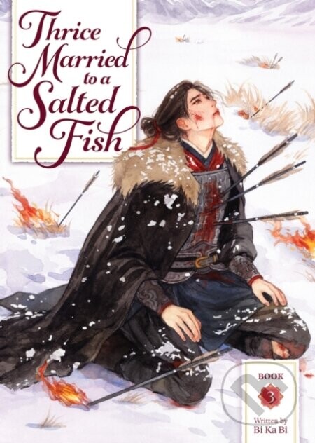 Thrice Married to a Salted Fish (Novel) Vol. 3 - Bi Ka Bi