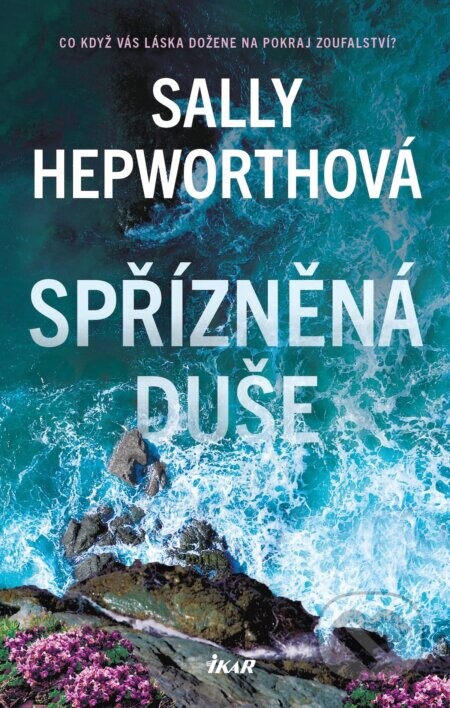 Spřízněná duše - Sally Hepworth