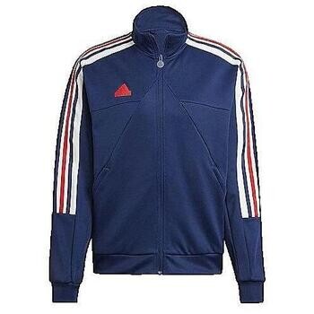 adidas  Veste  House Of Tiro Nations  Modrá