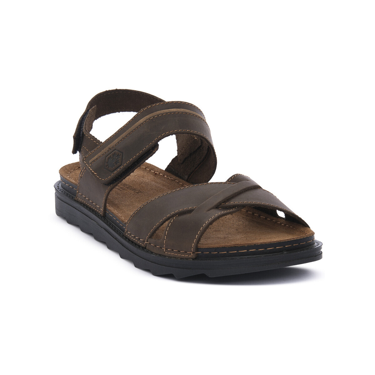 Lumberjack  023 DARK BROWN ASHER  Hnědá