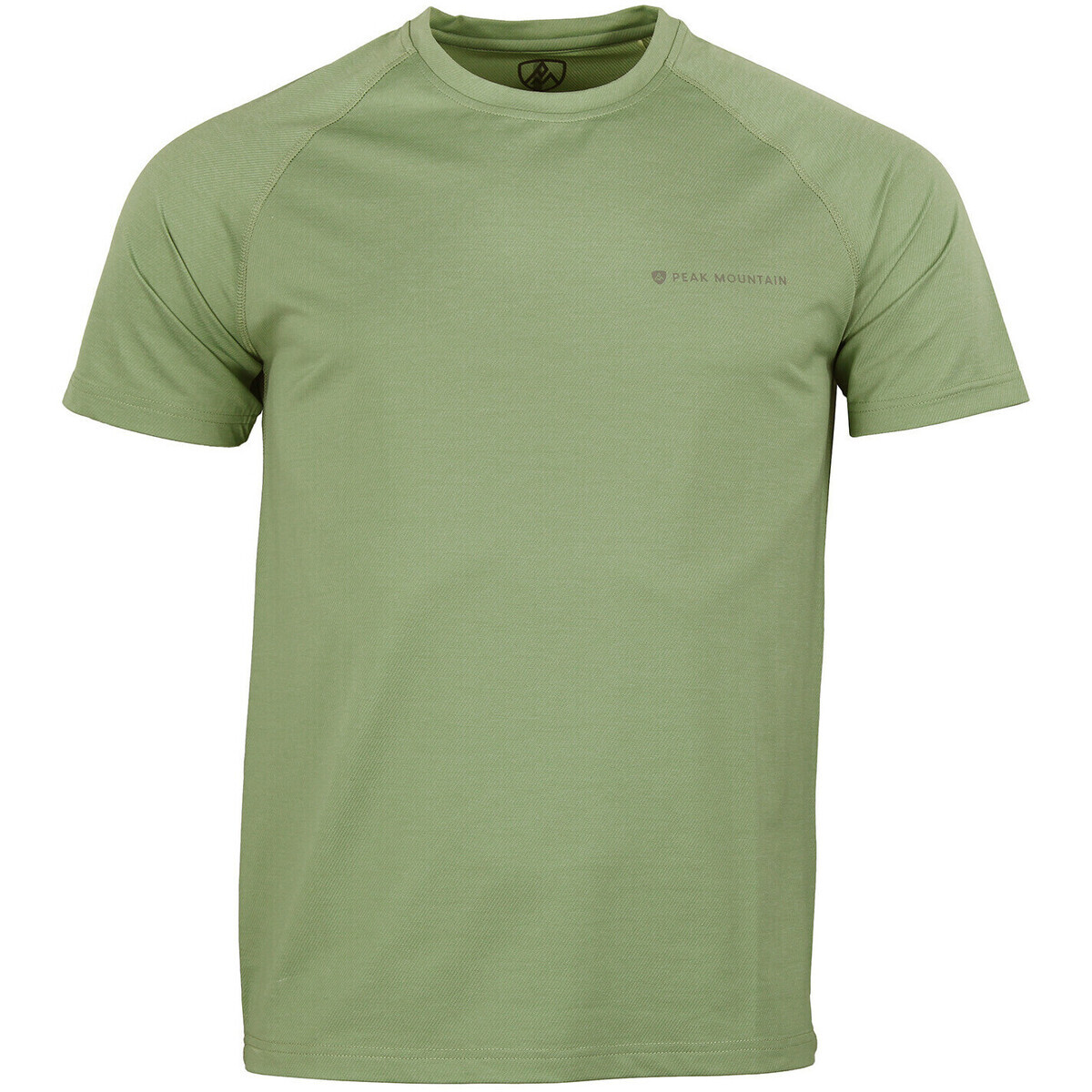 Peak Mountain  TEE-SHIRT TECHNIQUE CECACTUS HOMME  Khaki