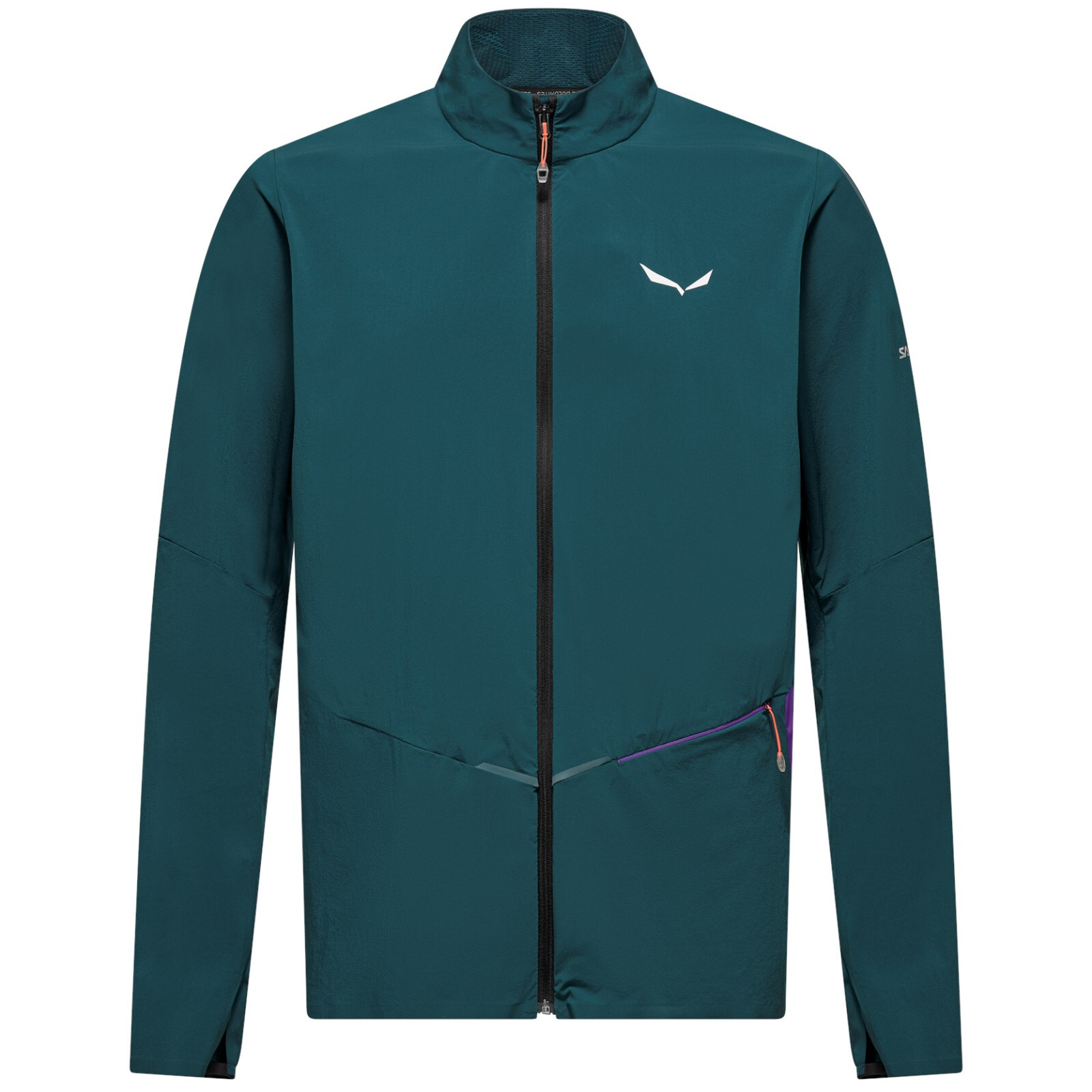 Pánská bunda Salewa Pedroc Dst Light Jacket M Velikost: L / Barva: modrá