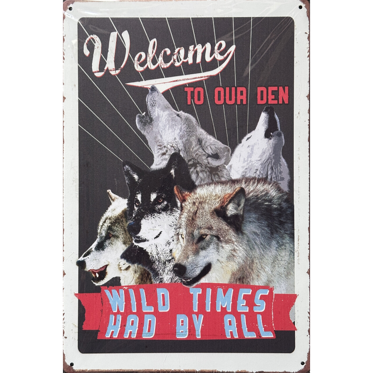 Cedule plechová Legal Life Wild Times 30x20cm - barevná