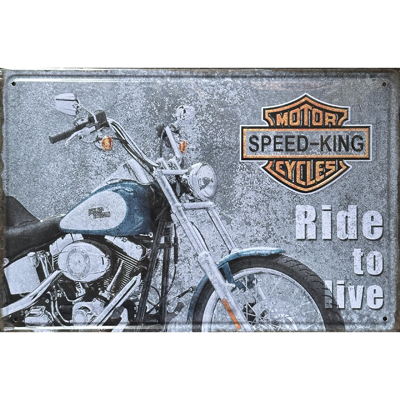 Cedule plechová Legal Life Ride to live 20x30cm - barevná