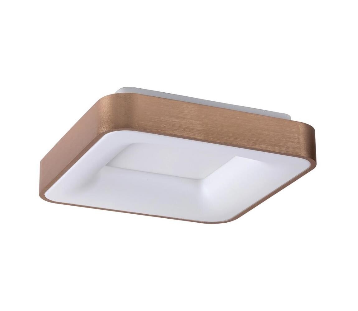 Rabalux 5056 - LED Stropní svítidlo CARMELA LED/30W/230V 5056