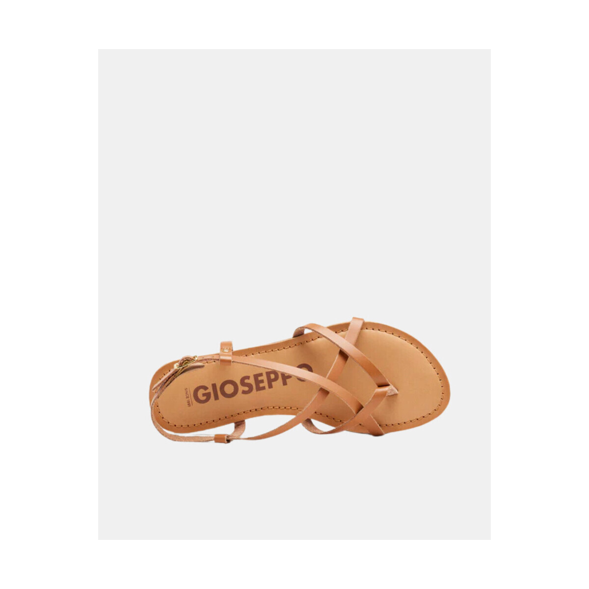 Gioseppo  69114 P LELEX  Hnědá