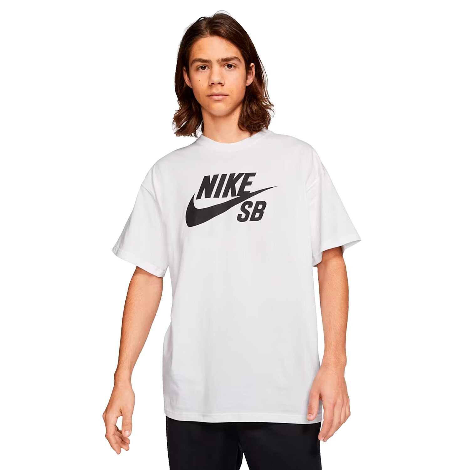 Nike SB Logo Fill Hbr