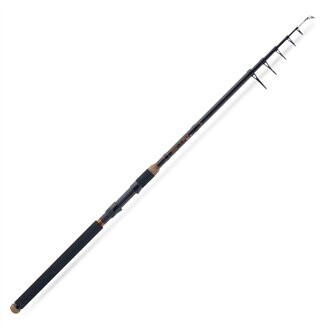 Saenger prut Pro-T Gold Tele 40 2,70m 10–40g-5820271