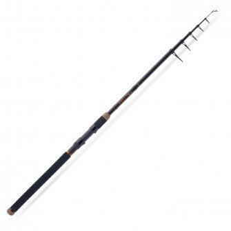 Saenger prut Pro-T Gold Tele 60 2,40m 30–60g-5820242