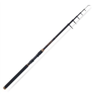 Saenger prut Pro-T Gold Tele Big Fish 3,00m 50–120g-5820304