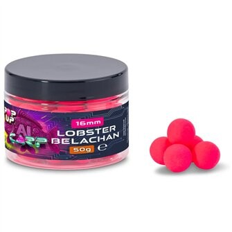 Anaconda pop up AI Carp 50g 16mm Lobster Belachan-2205168