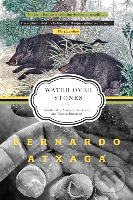 Water over Stones - Bernardo Atxaga
