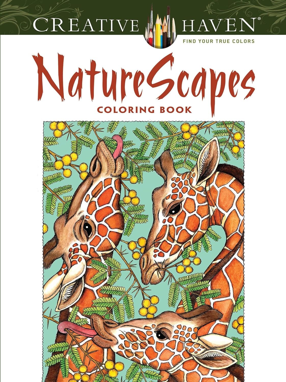 Creative Haven Nature Scapes, antistresové omalovánky,  Patricia J. Wynne