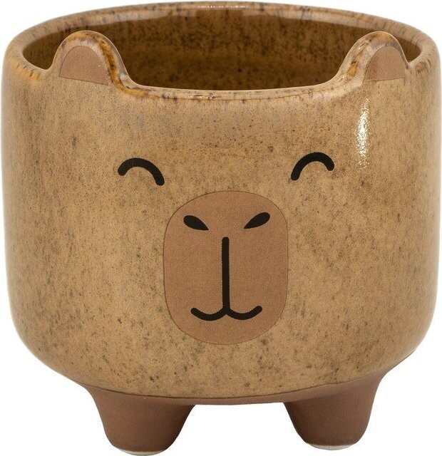 Kameninový ručně malovaný obal na květináč ø 7,5 cm Mojave Capybara – Sass & Belle