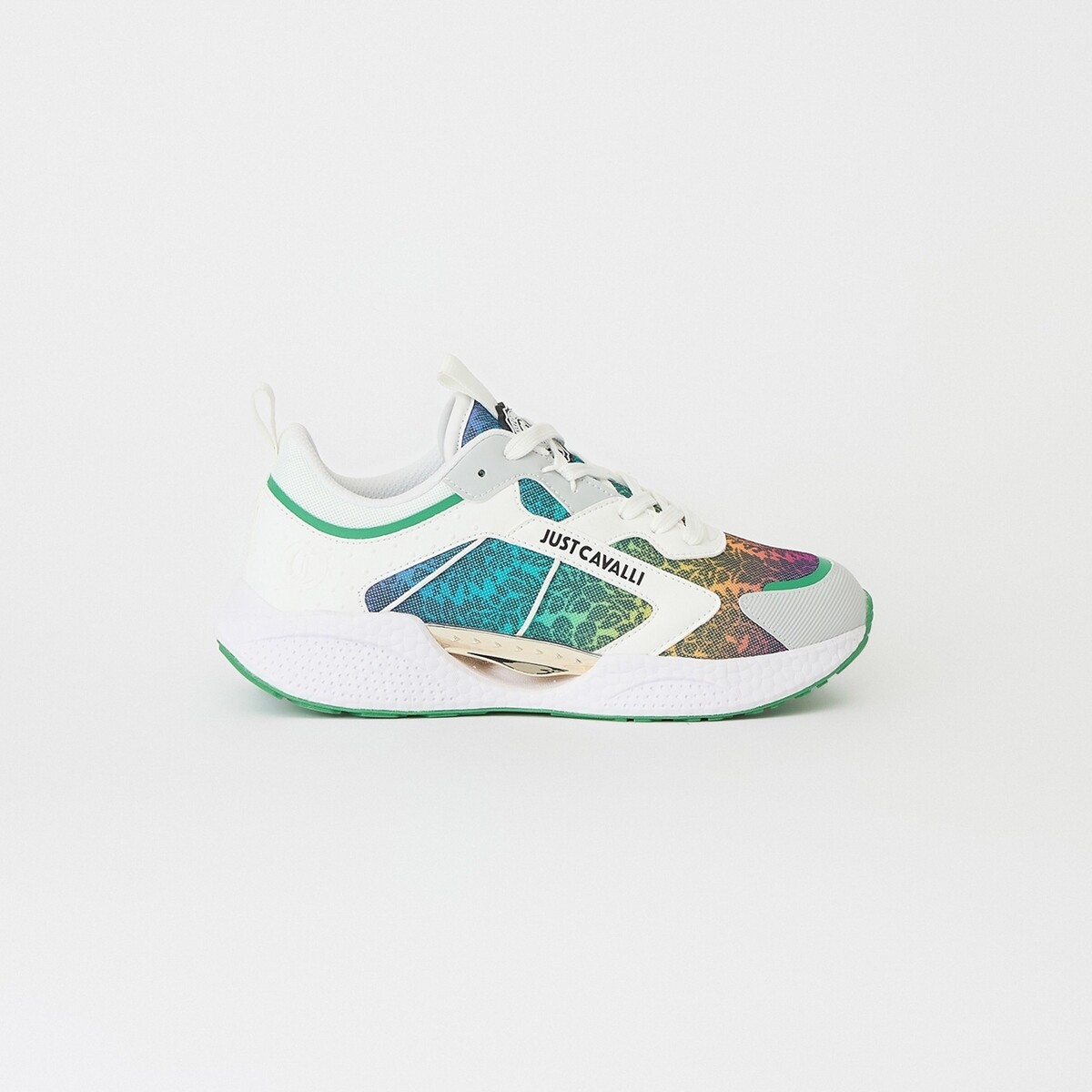 Roberto Cavalli  SNEAKERSFANTASIAVERDE  ruznobarevne