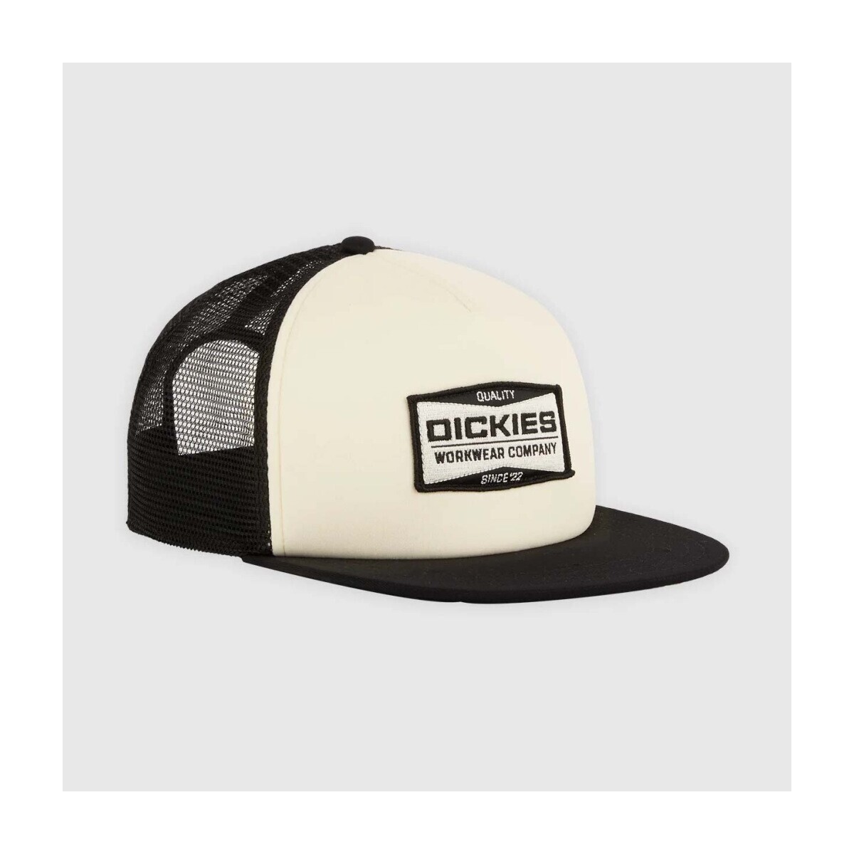 Dickies  Gorras Hombre Modèle Dk0a87ncblk1  Béžová
