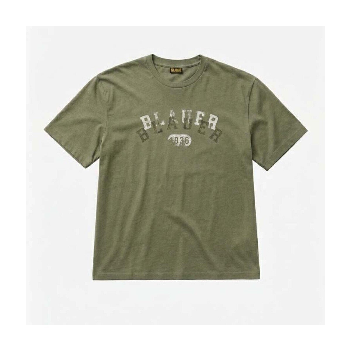 Blauer  Camisetas Hombre Modèle Selkirk  Zelená
