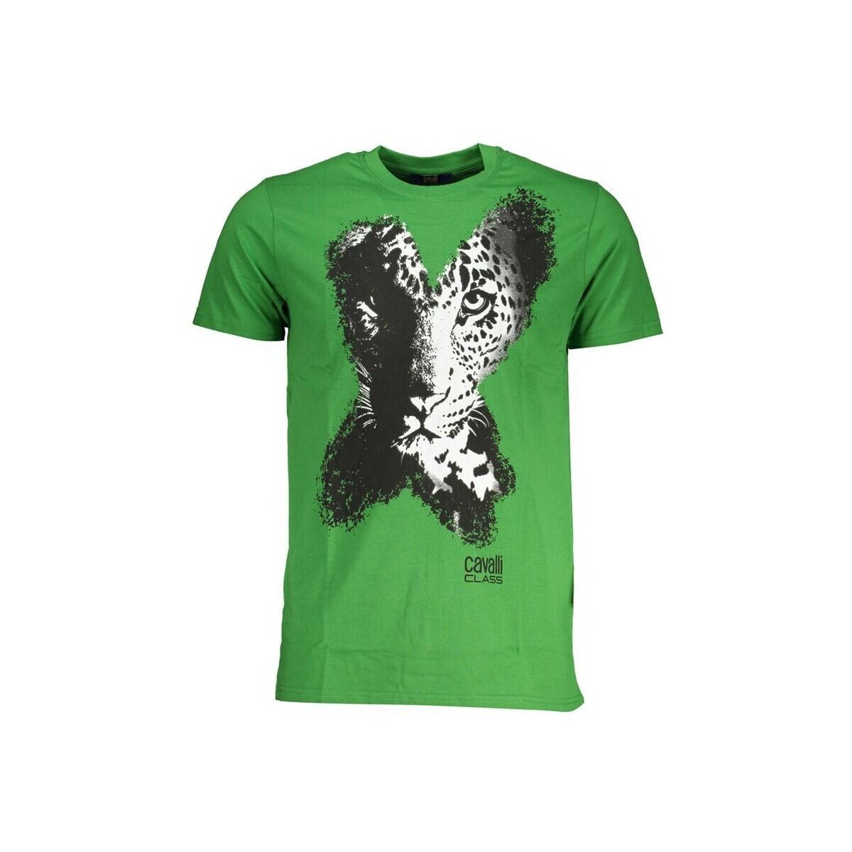 Roberto Cavalli  qxt63ajd060ve07334xl  Zelená