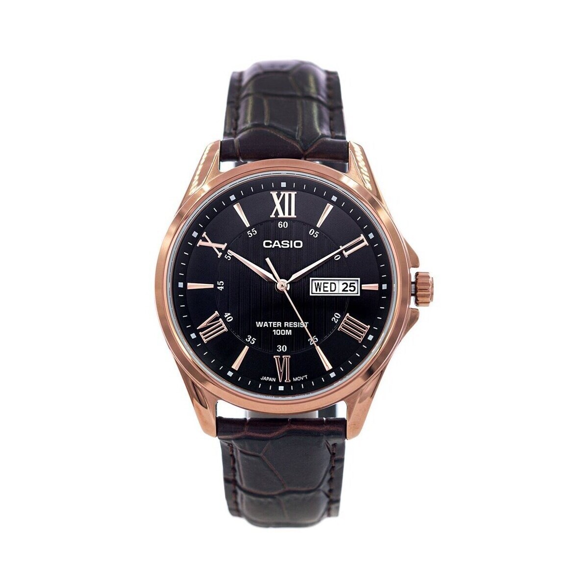Casio  ty533880  Hnědá