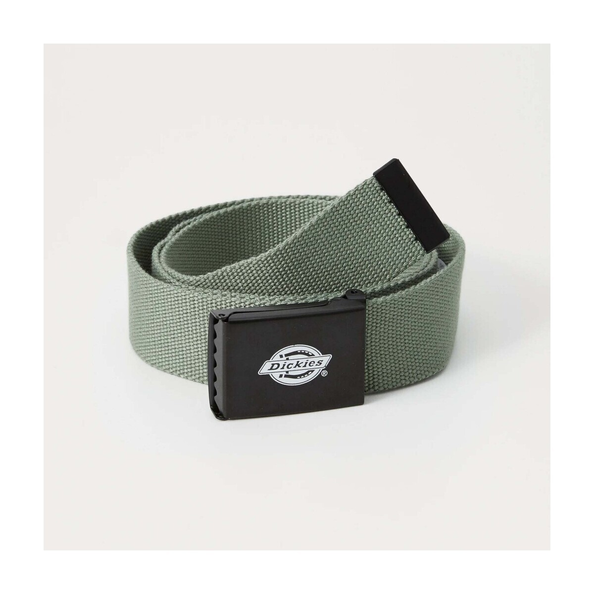 Dickies  Cinturones Hombre Modèle Dk0a4x7el191  Zelená