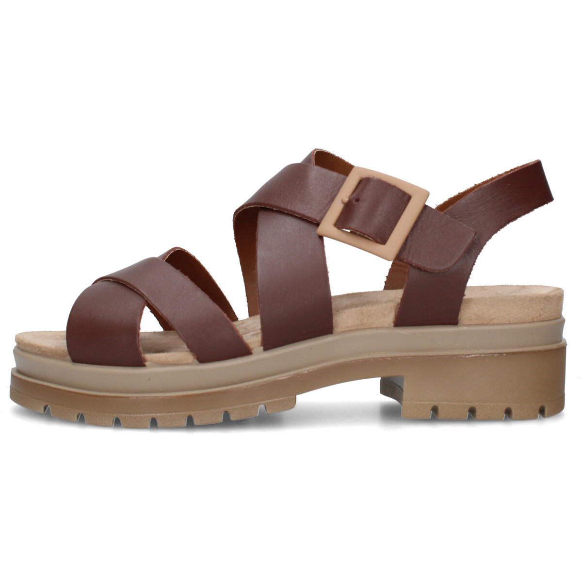 IgI&CO  1169611  Hnědá