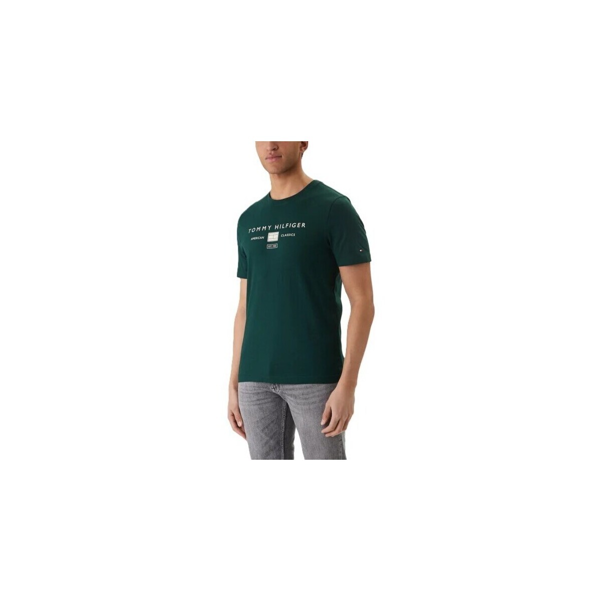 Tommy Hilfiger  MW0MW42365  Zelená