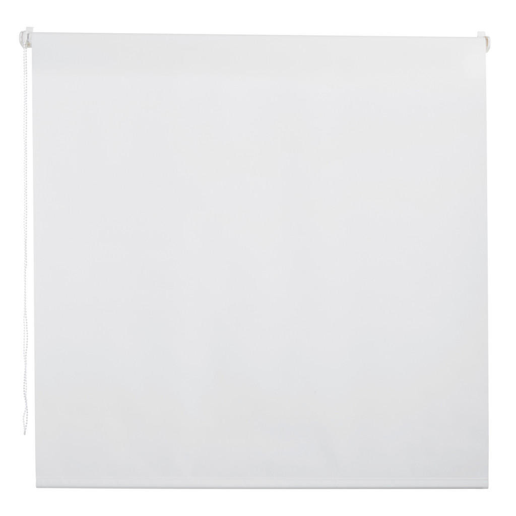 Boxxx ROLETA, poloprůhledné, 100/160 cm