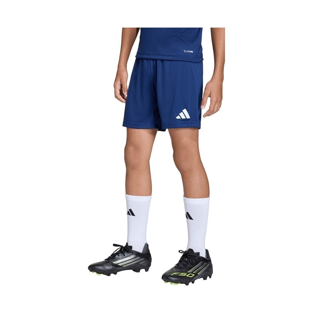 adidas  SPODENKIADIDASJZ6532ENTRADA26GRANAT  ruznobarevne