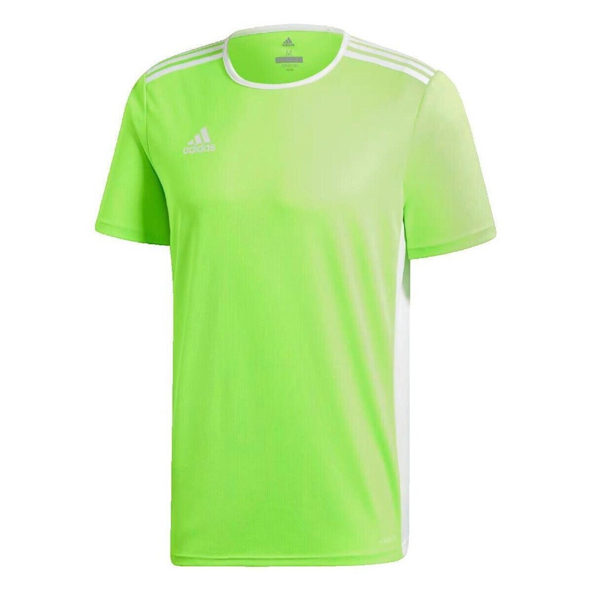adidas  Entrada 18  Zelená