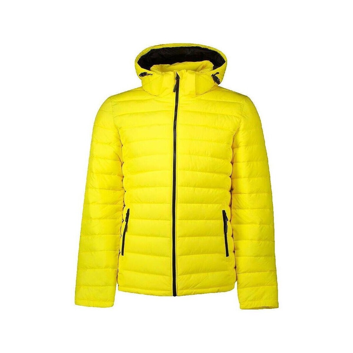 Superdry  Veste  Fuji Jaune  Žlutá