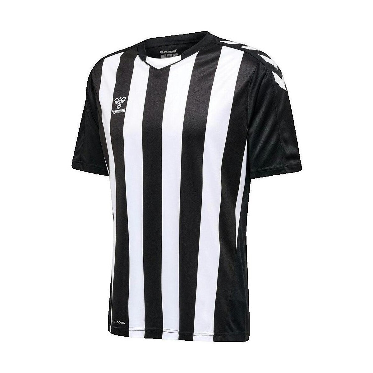 hummel  T-shirt  Hmlcore XK Striped  Černá