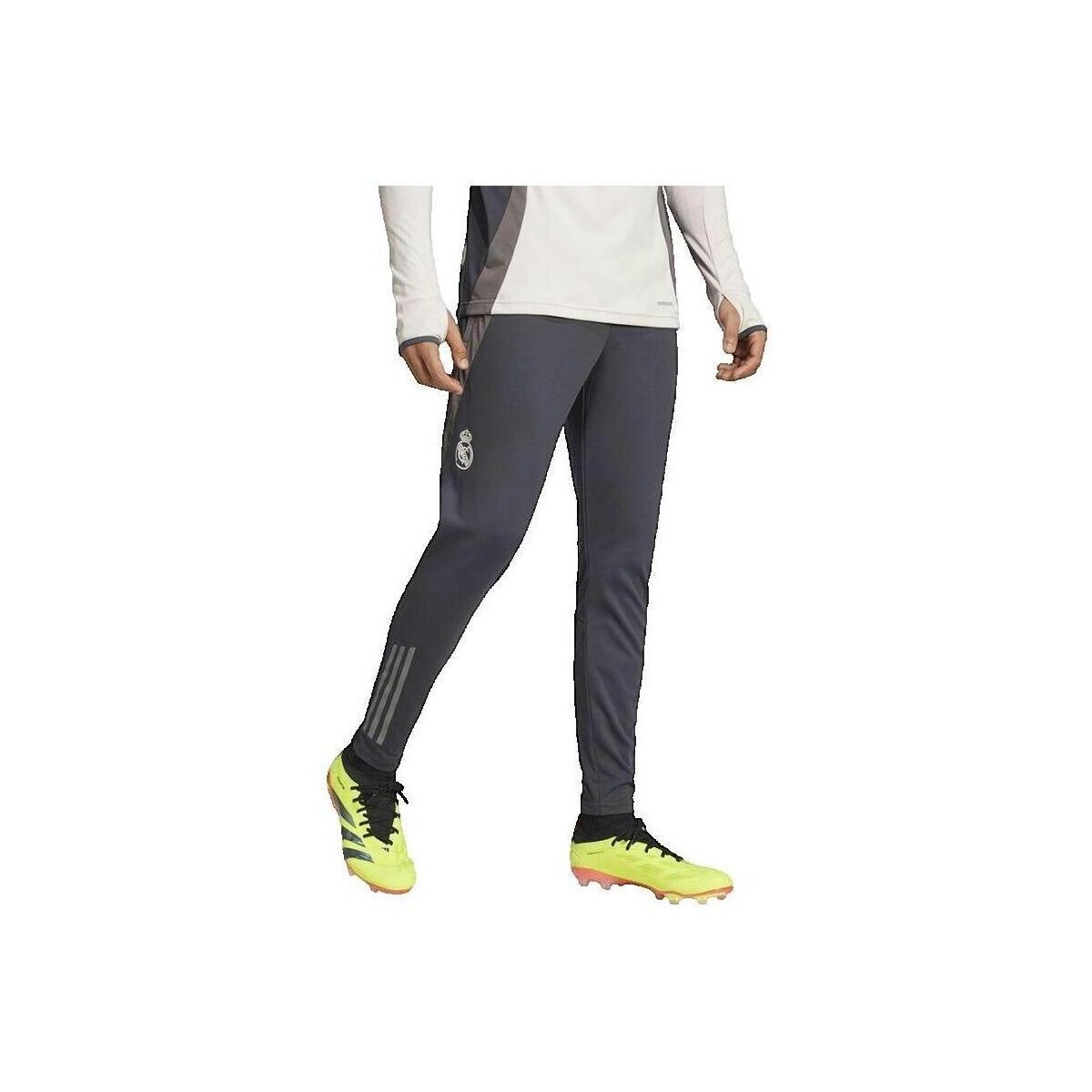 adidas  Pantalon  Real Madrid Tiro 24 Competition  Šedá