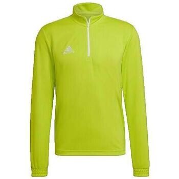 adidas  T-shirt  Entrada 22  Žlutá