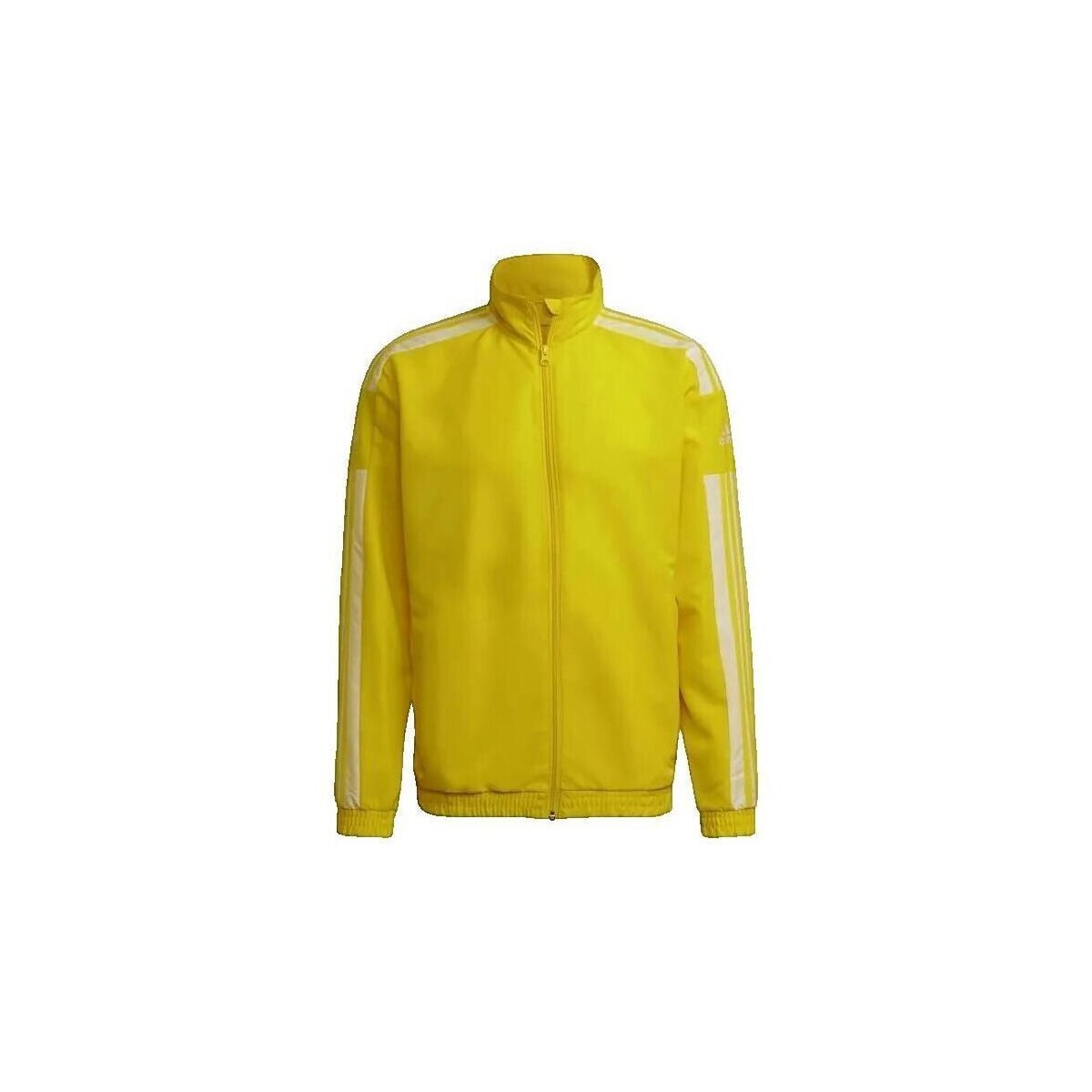 adidas  Veste  Squadra 21  Žlutá