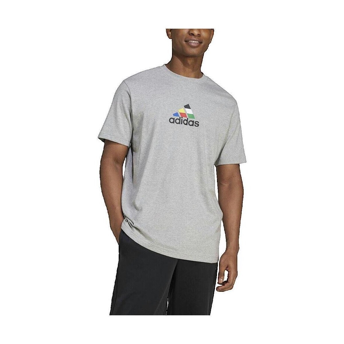 adidas  T-shirt  House Of Tiro Nations gris  Šedá
