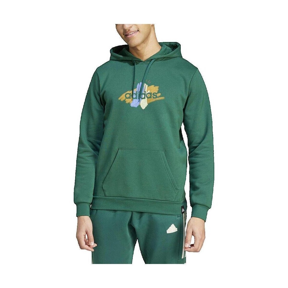 adidas  Sweat à capuche  Codes Graphic  Zelená
