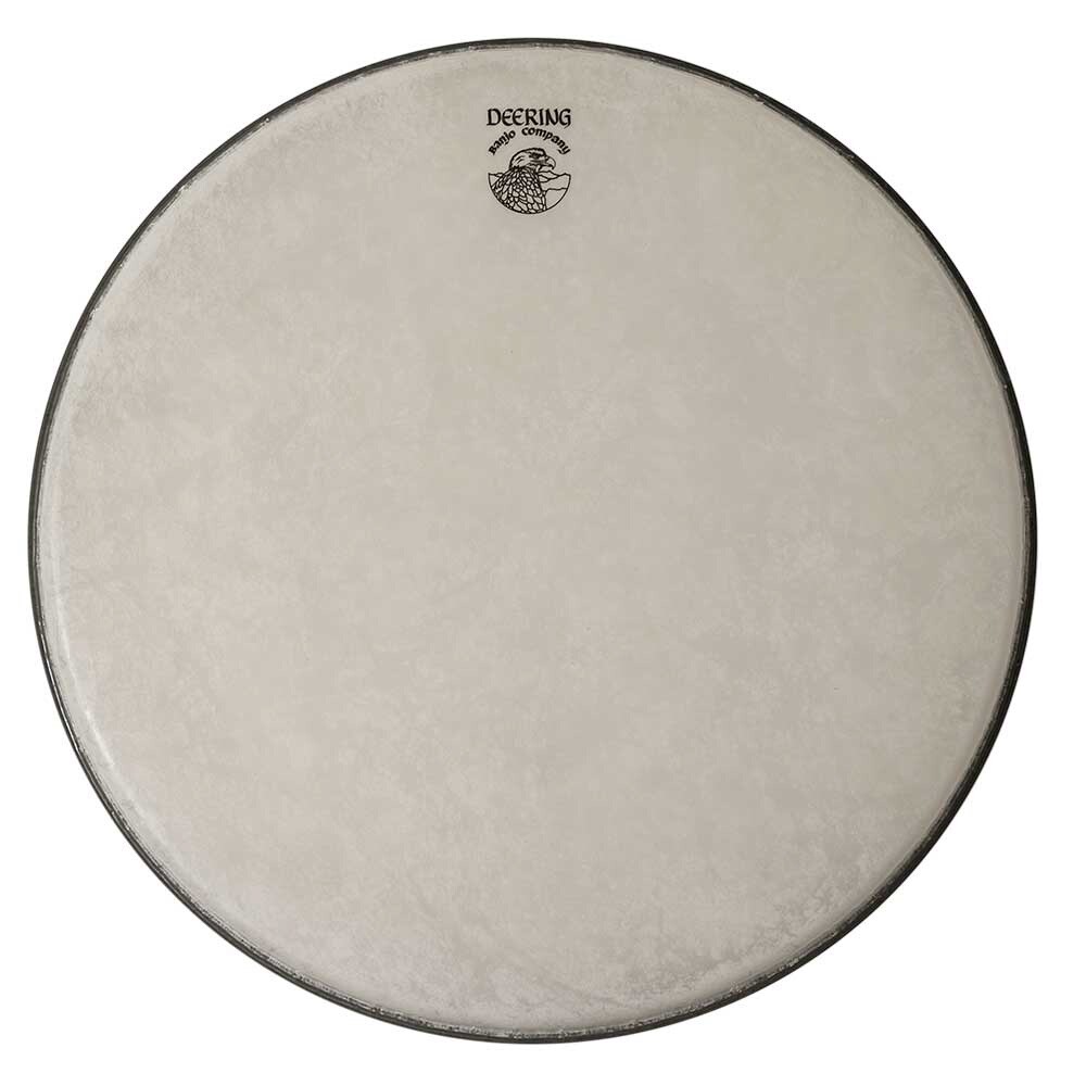Deering Banjo Head 11