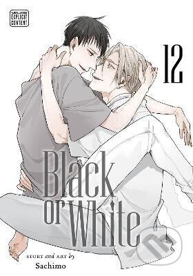 Black or White, Vol. 12 - Sachimo