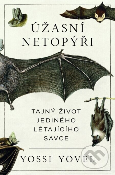 Úžasní netopýři - Yossi Yovel