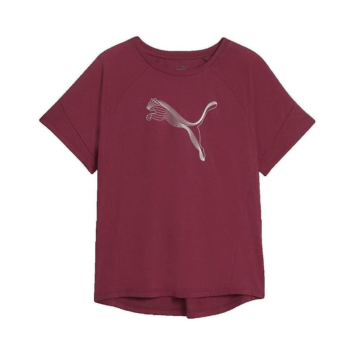 Puma  T-shirt  Evostripe  Červená