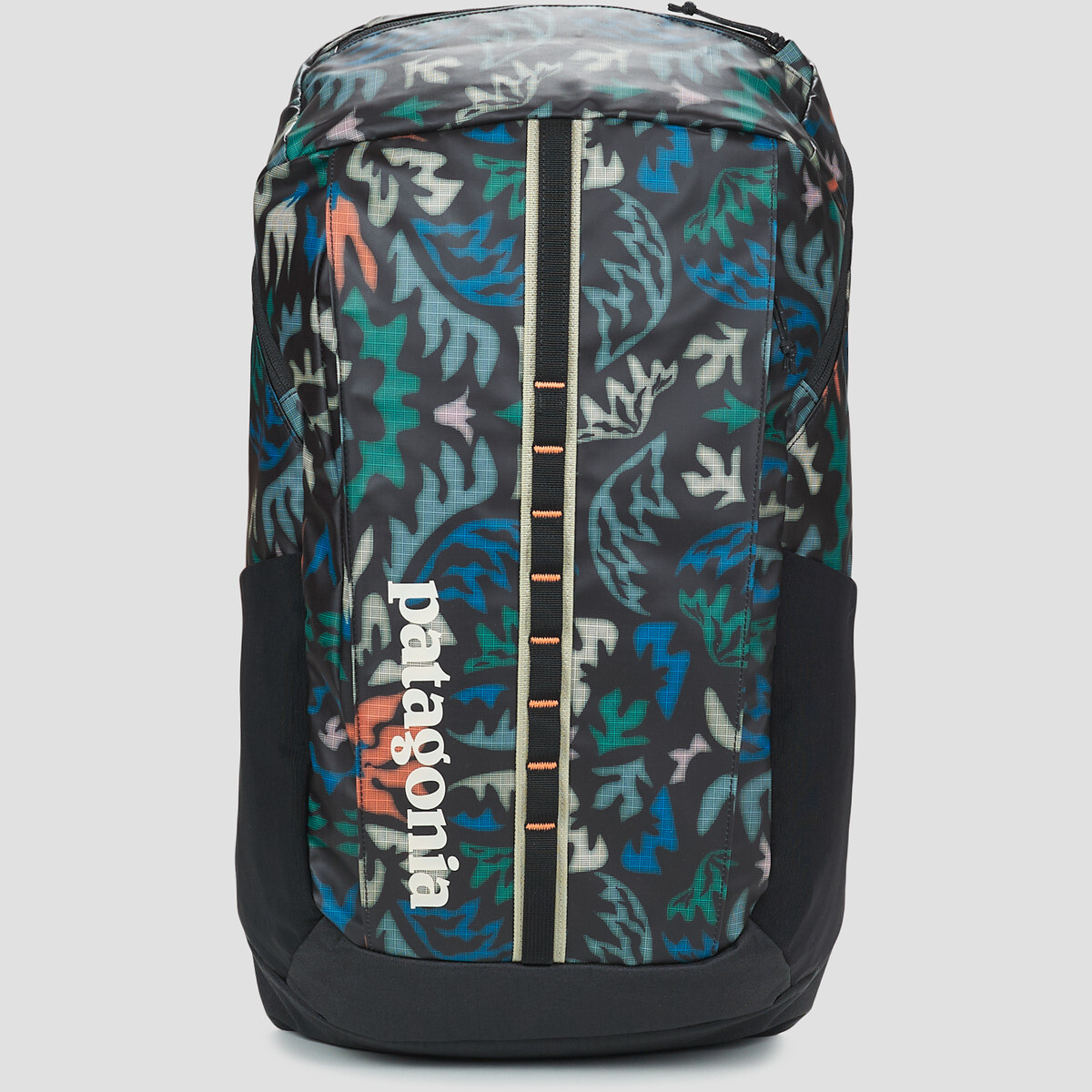 Patagonia  BLACK HOLE PACK 25L  ruznobarevne