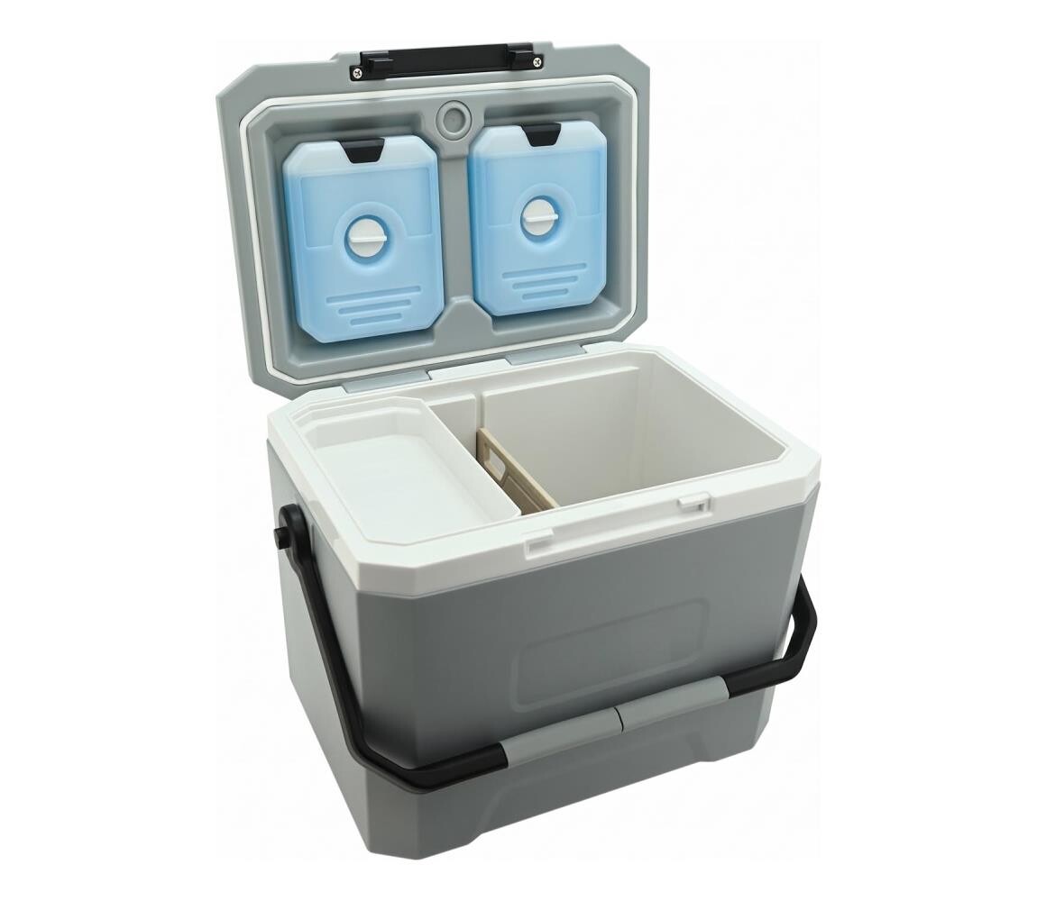 Chladící box s chladící vložkou 16 l šedá 06519